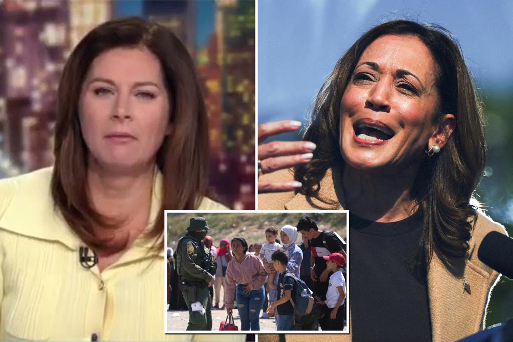 CNN's Erin Burnett seems shocked that Kamala Harris supported taxpayer-funded gender surgery for migrants